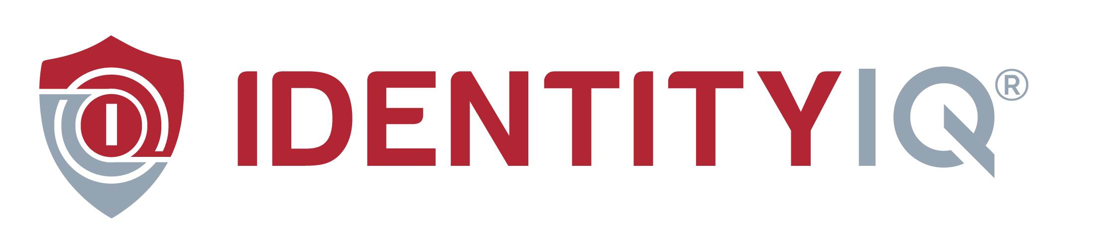 IdentityIQ Logo